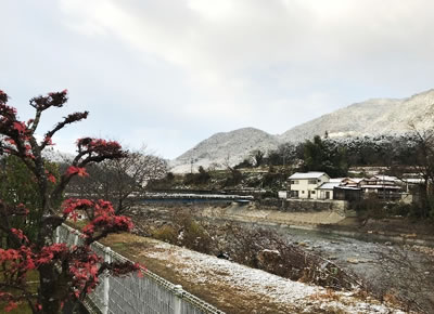 写真：近隣・遠景